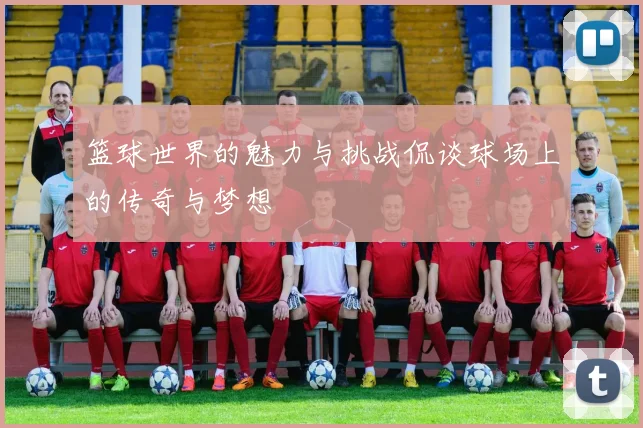 篮球世界的魅力与挑战侃谈球场上的传奇与梦想