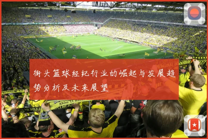 街头篮球经纪行业的崛起与发展趋势分析及未来展望