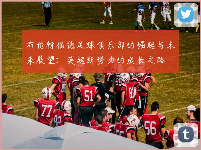 布伦特福德足球俱乐部的崛起与未来展望：英超新势力的成长之路